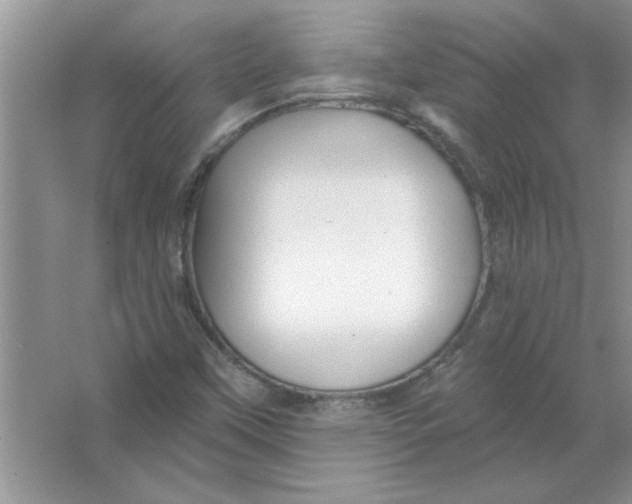 X0000066491451200604072202