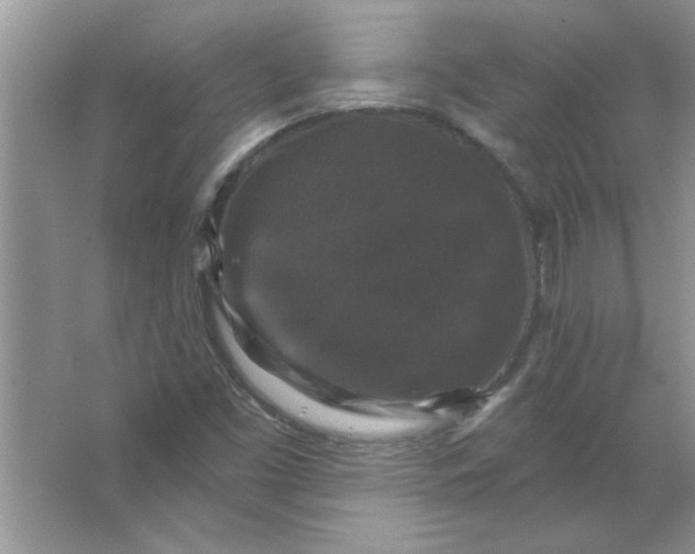 X0000066491453200604072202