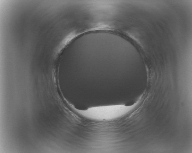 X0000066491455200604072202