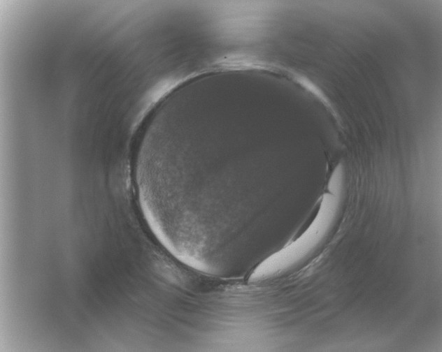 X0000066491461200604072202