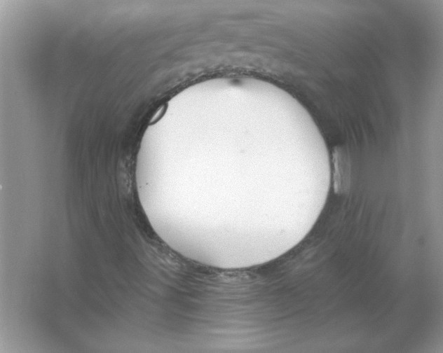 X0000066491491200604072201