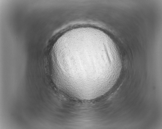 X0000066491494200604072201