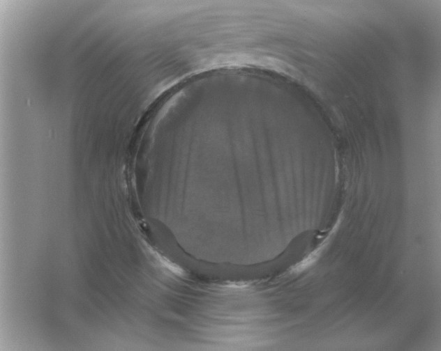 X0000066491497200604072201
