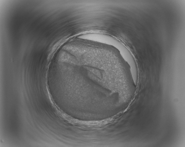 X0000066490001200604141708