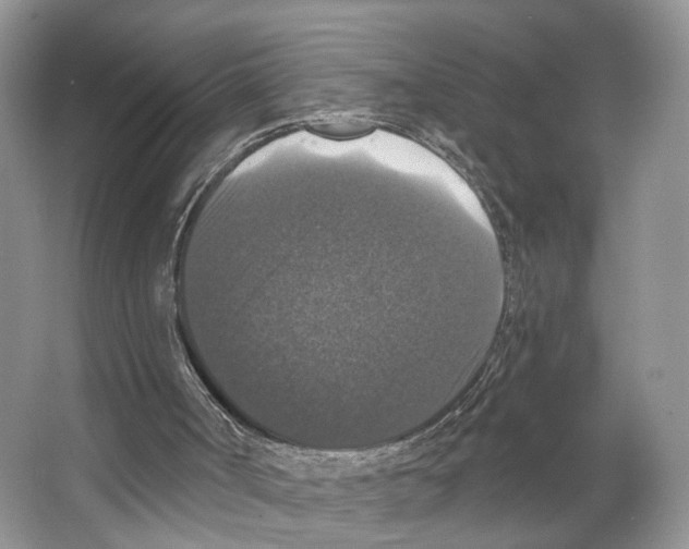X0000066490002200604141708