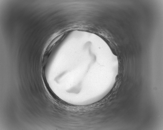 X0000066490003200604141708