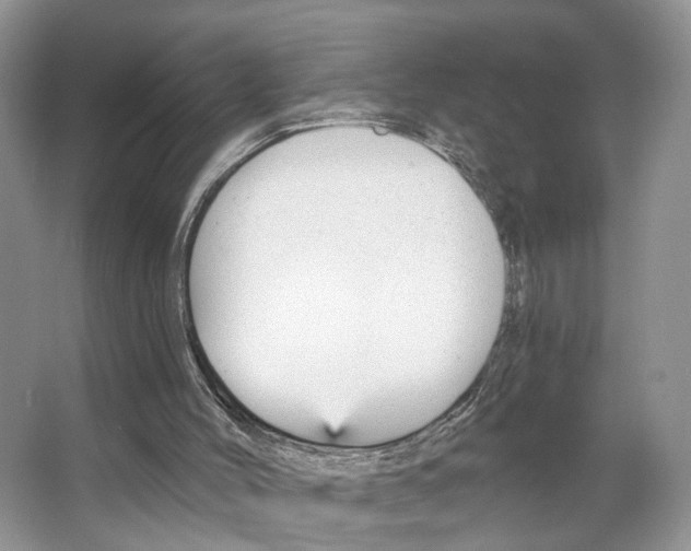 X0000066490004200604141708
