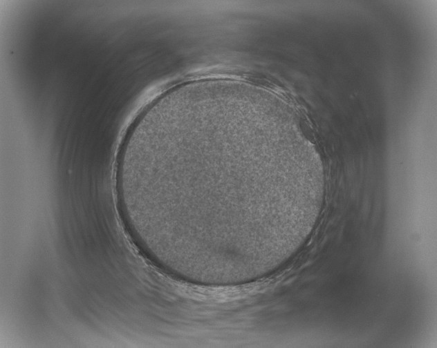 X0000066490006200604141708