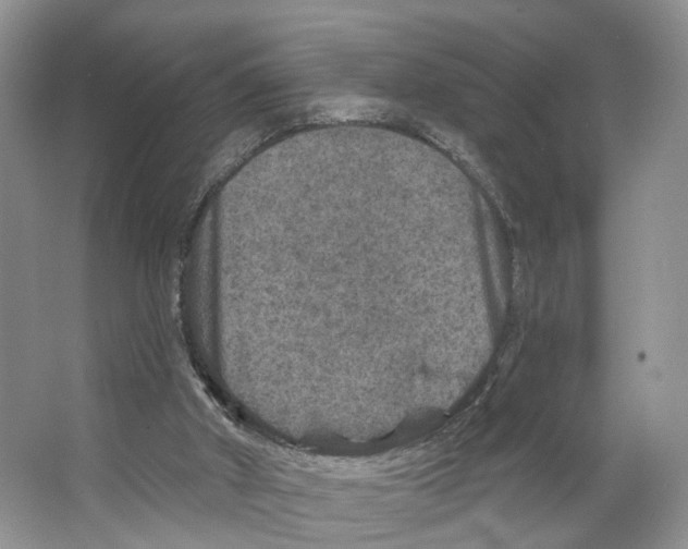 X0000066490010200604141708