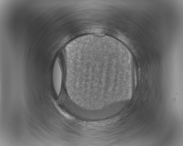 X0000066490013200604141708