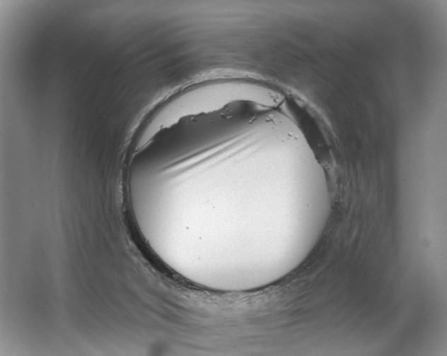 X0000066490015200604141708