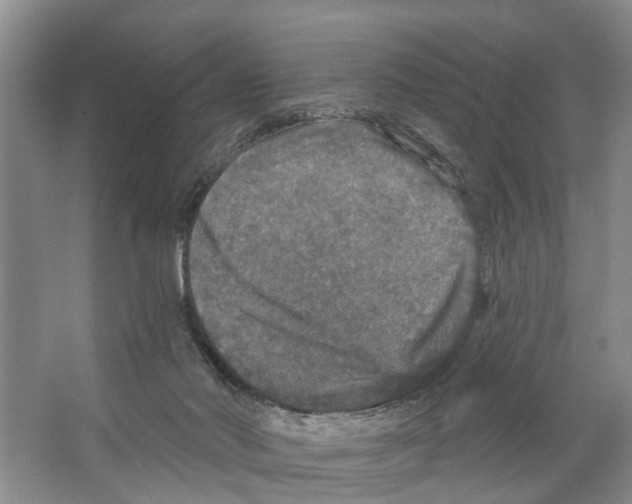 X0000066490022200604141708