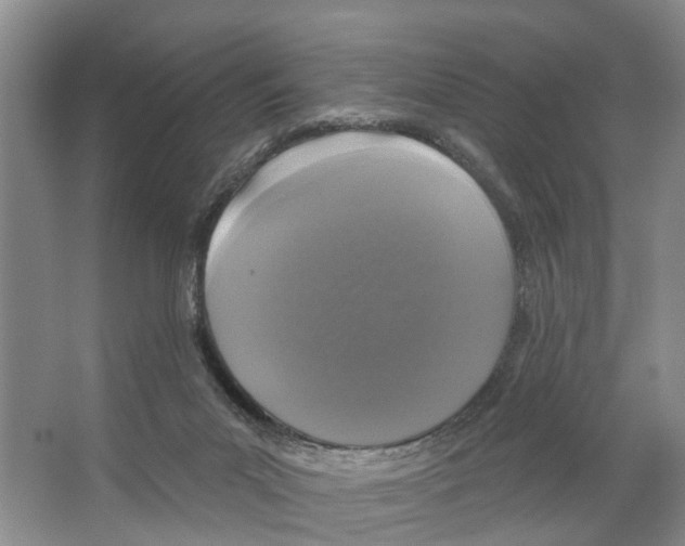 X0000066490023200604141708