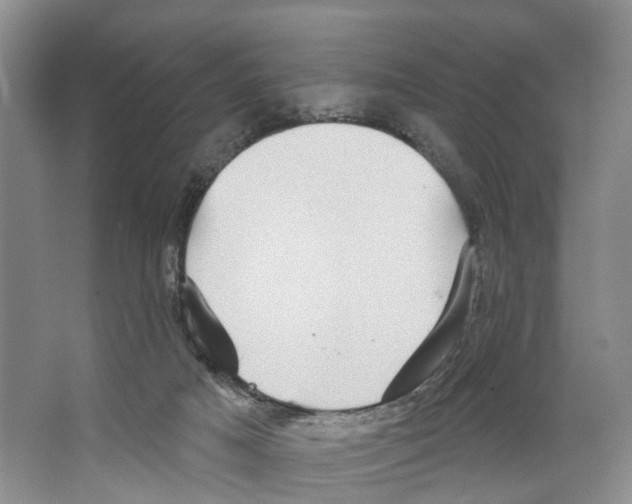 X0000066490025200604141708