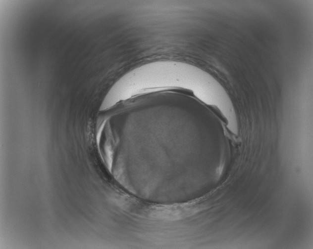 X0000066490029200604141708