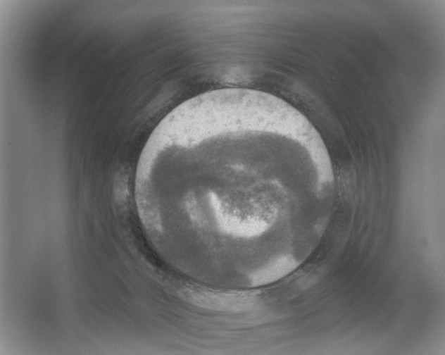 X0000066490032200604141708