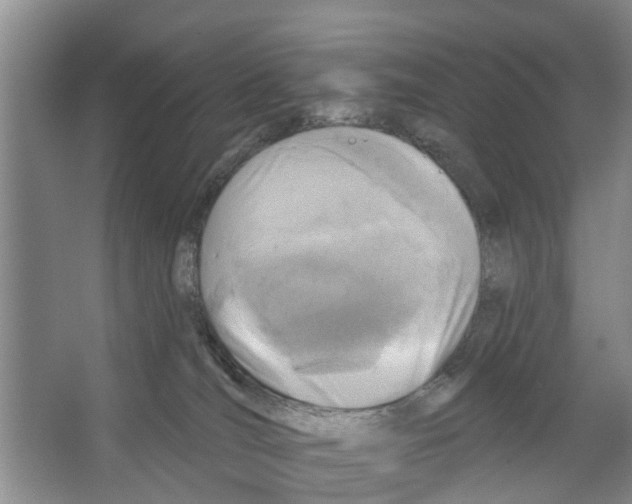 X0000066490036200604141708