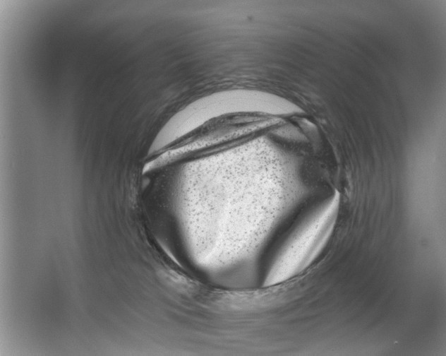 X0000066490037200604141708