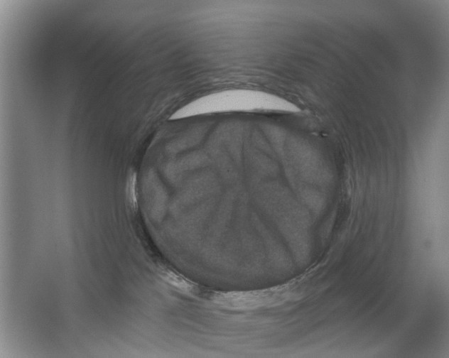 X0000066490041200604141708