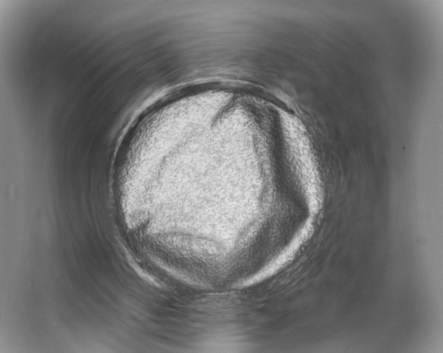 X0000066490050200604141707