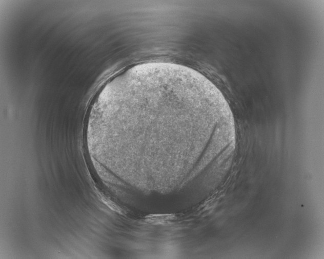 X0000066490051200604141707