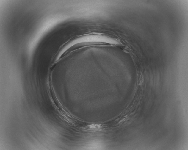 X0000066490052200604141707
