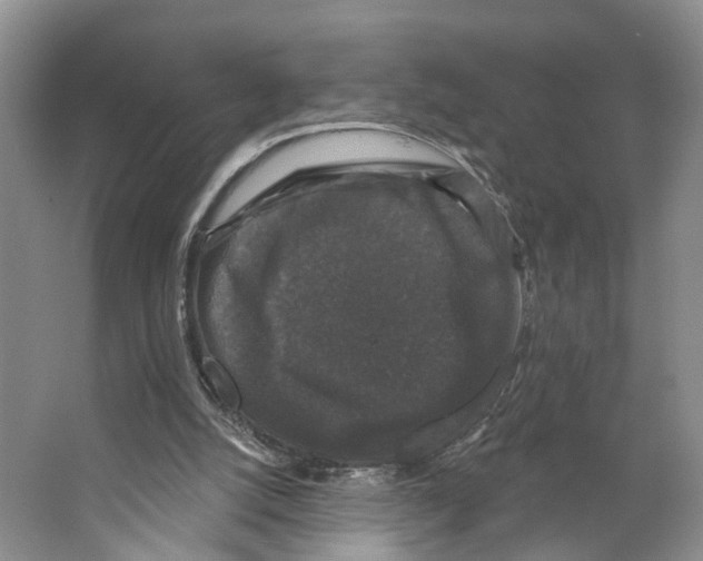 X0000066490056200604141707