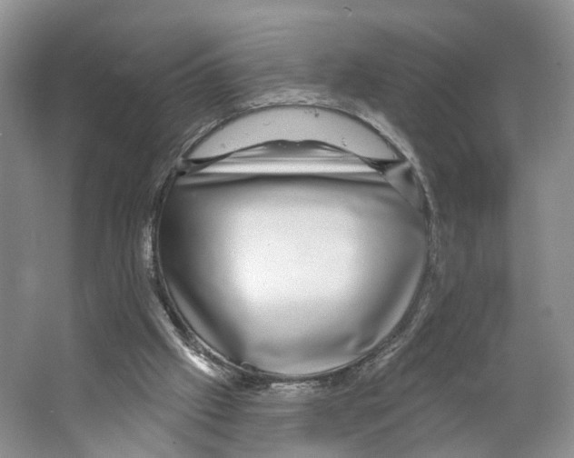 X0000066490057200604141707