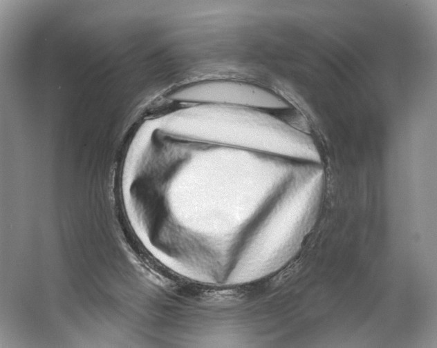 X0000066490058200604141707