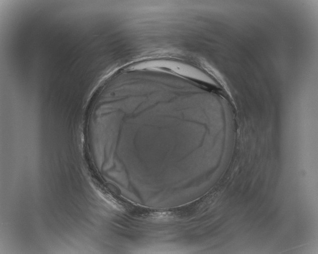 X0000066490059200604141707