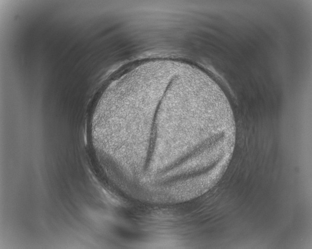 X0000066490062200604141707
