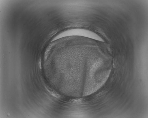 X0000066490068200604141707