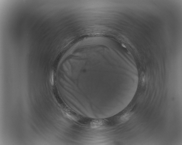 X0000066490076200604141707