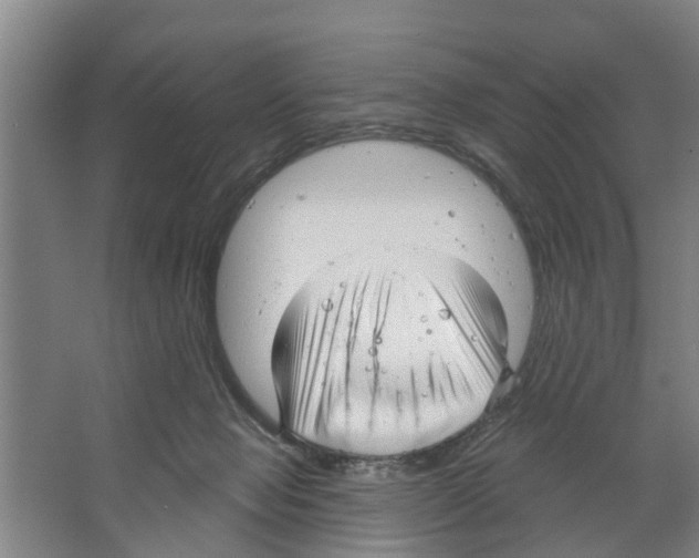 X0000066490077200604141707