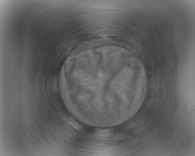 X0000066490081200604141707