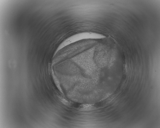 X0000066490093200604141708