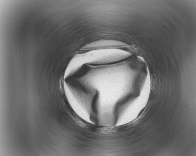 X0000066490094200604141708