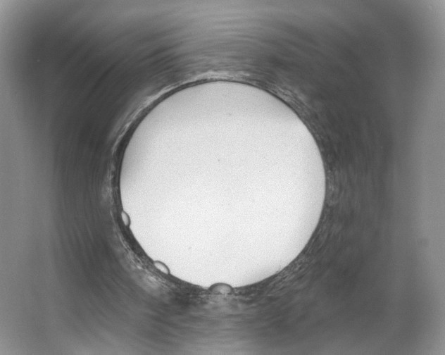 X0000066490098200604141707