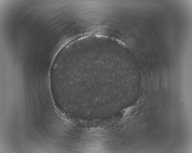 X0000066490100200604141707