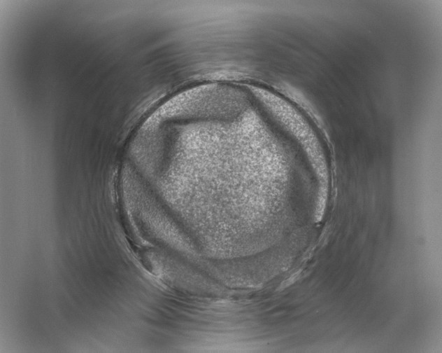 X0000066490105200604141707