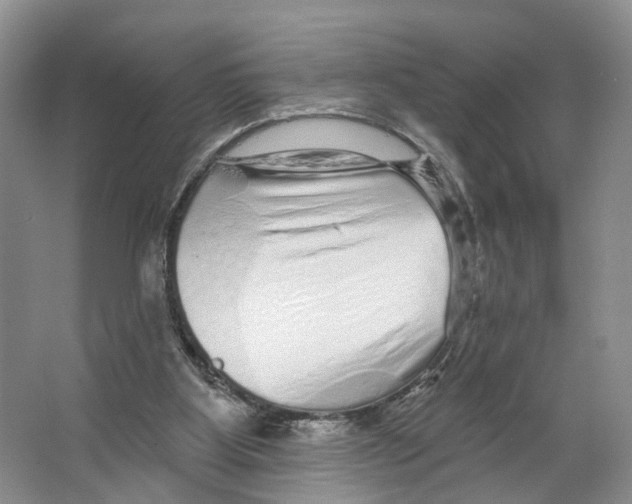 X0000066490107200604141707