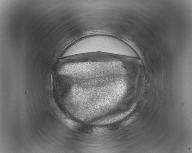 X0000066490109200604141707