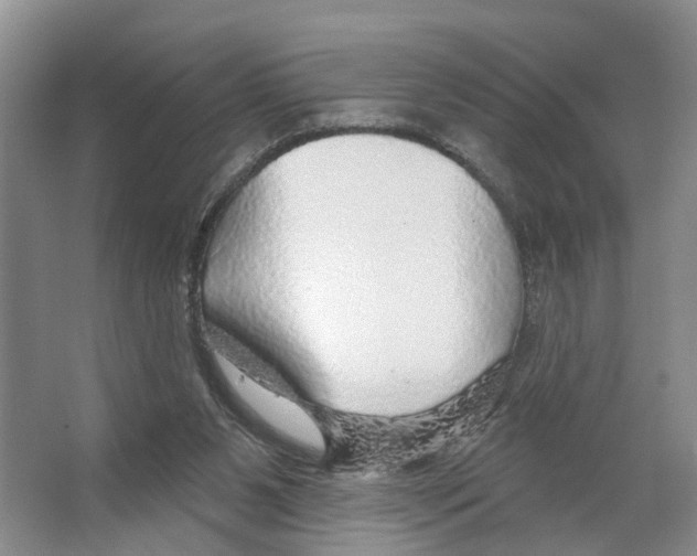 X0000066490111200604141707