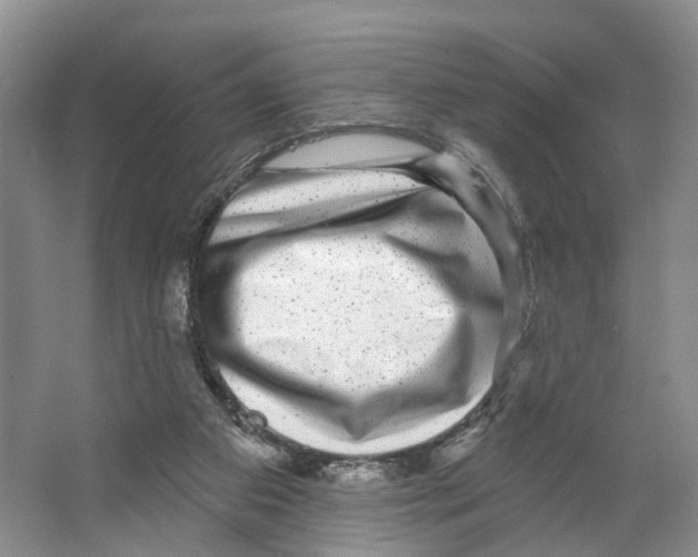 X0000066490113200604141707