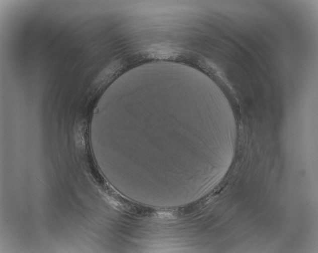 X0000066490114200604141707