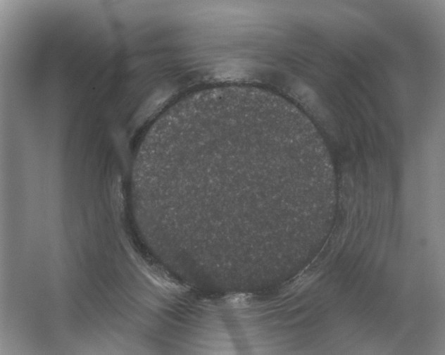 X0000066490116200604141706