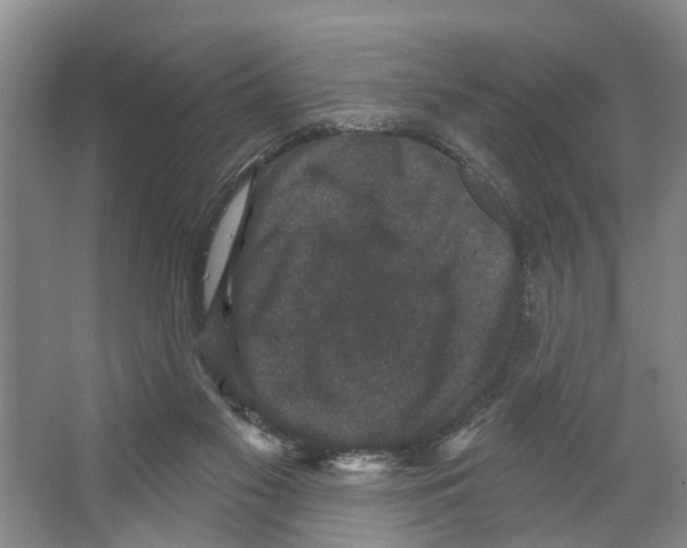 X0000066490117200604141706