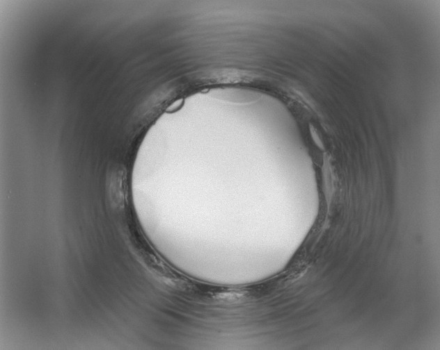 X0000066490119200604141706