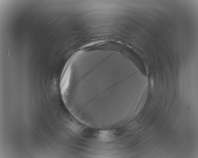 X0000066490130200604141706