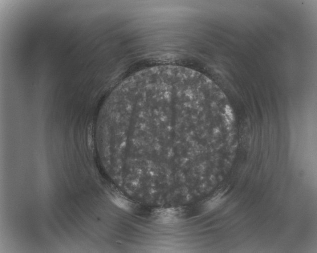 X0000066490131200604141706